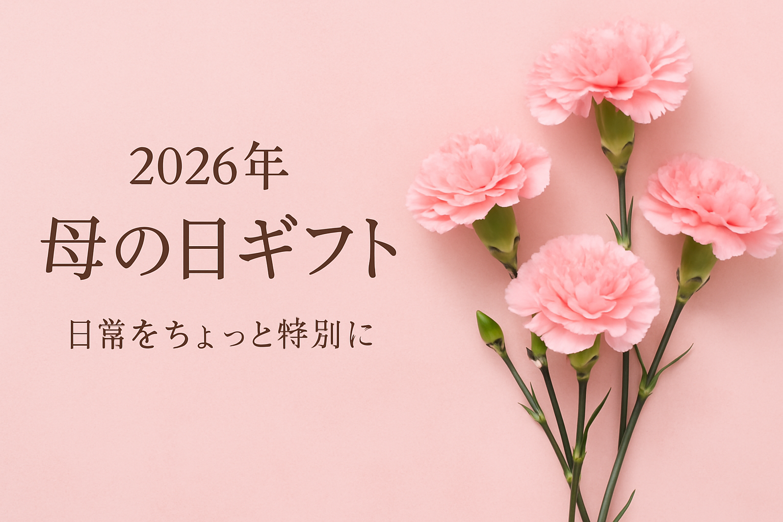 2026年の母の日ギフト カーネーション画像